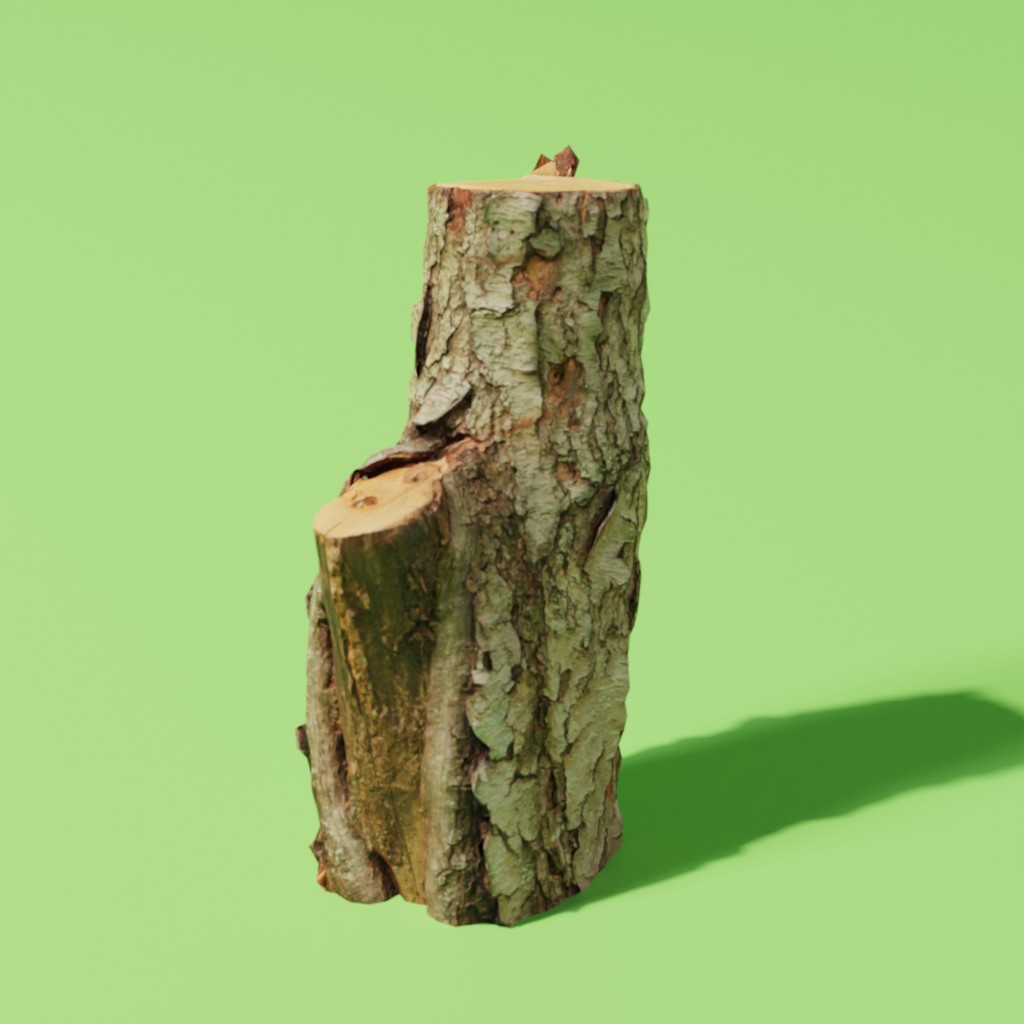 Tree, wood, stump, brown, outdoor, nature, small